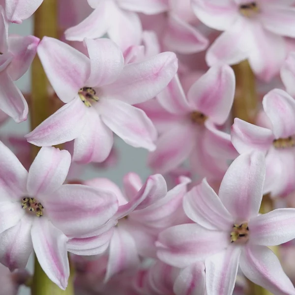体育彩票棋牌游戏
